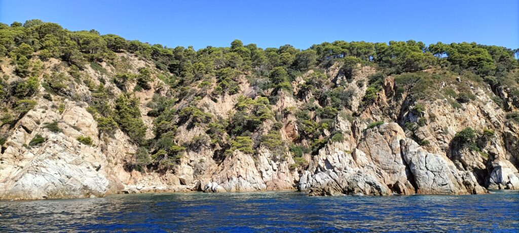 whatsapp image 2026 01 20 at 2.26.35 pm